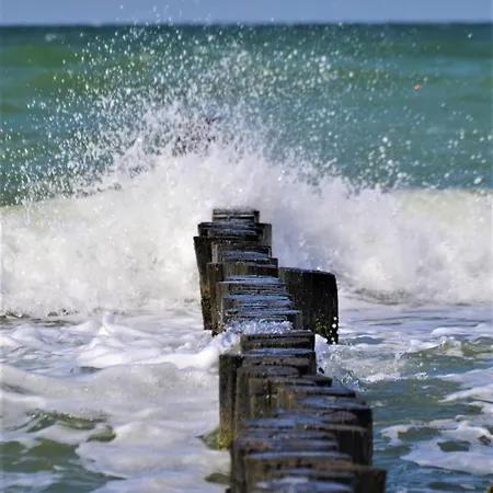 Martha-muller-graehlert-weg 6 8 Διαμέρισμα Zingst